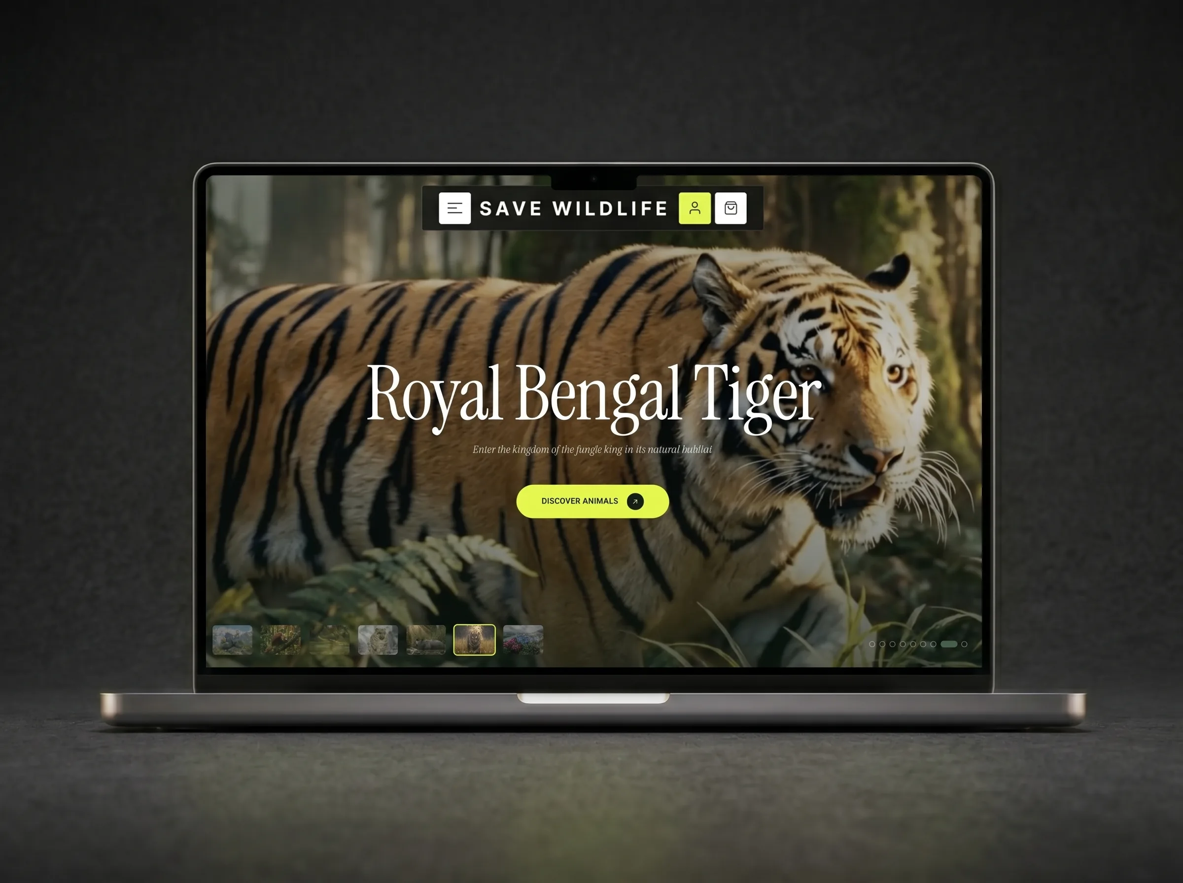 Save Wildlife